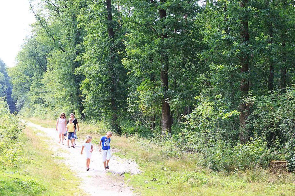 Rondje Kootwijkerbroek - wandelroute