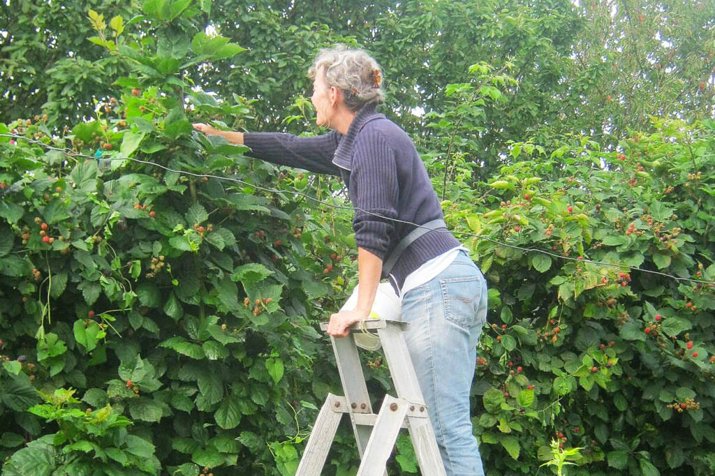 Fruittuin Très Jolie in De Glind